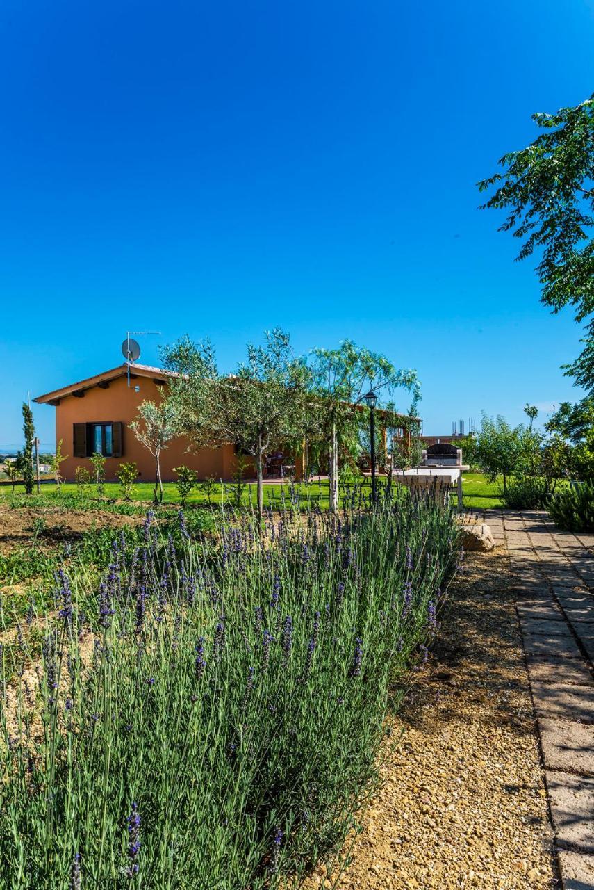 Agriturismo Poggio Di Maremma ペーシャ・ロマーナ エクステリア 写真