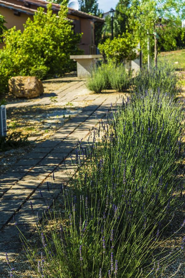 Agriturismo Poggio Di Maremma ペーシャ・ロマーナ エクステリア 写真
